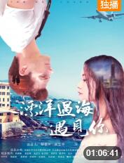 漂洋过海遇见你(全集)