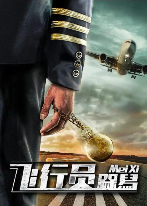 飞行员呆呆鸟(全集)