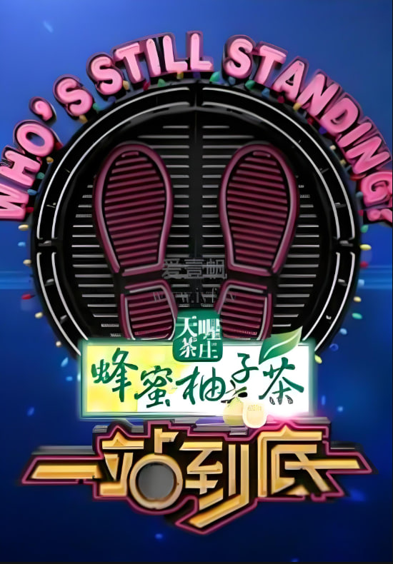 一站到底 2017(全集)