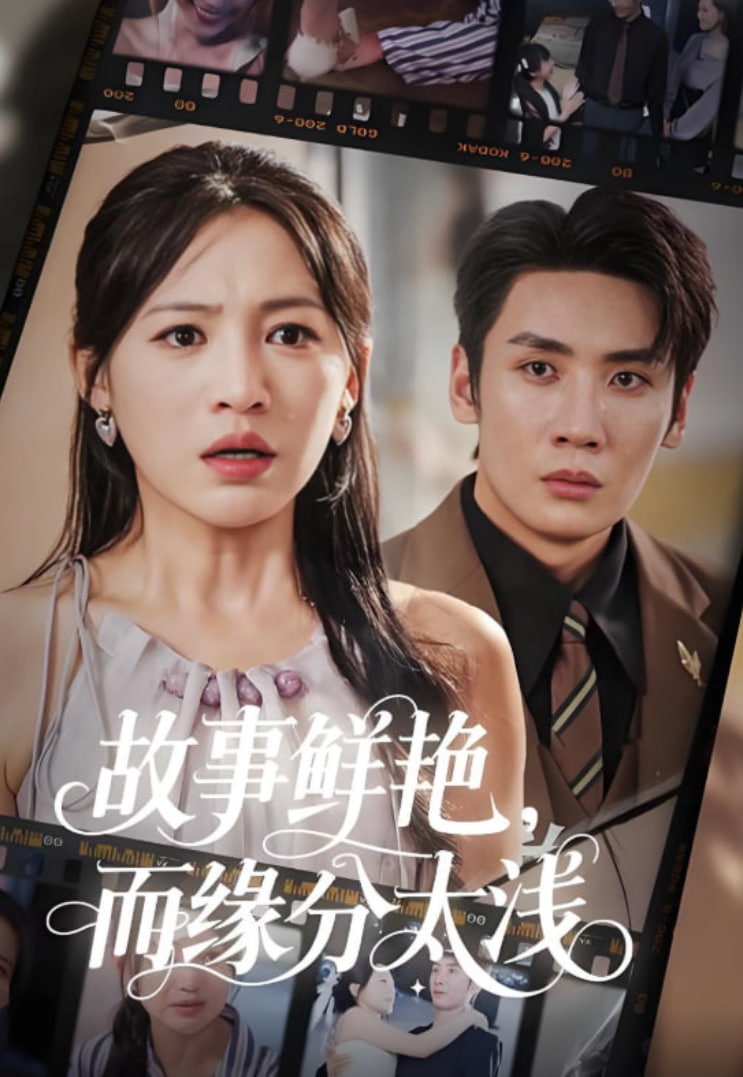 故事鲜艳而缘分太浅(全集)