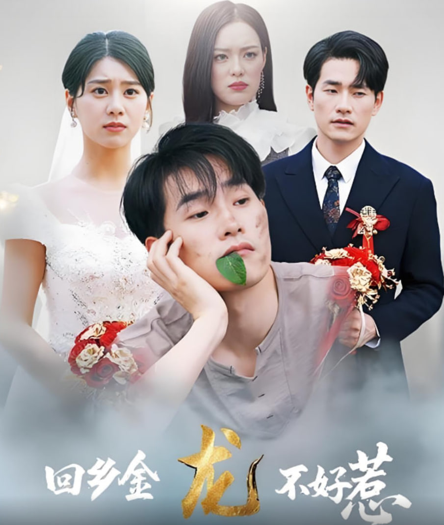 回乡金龙不好惹(全集)