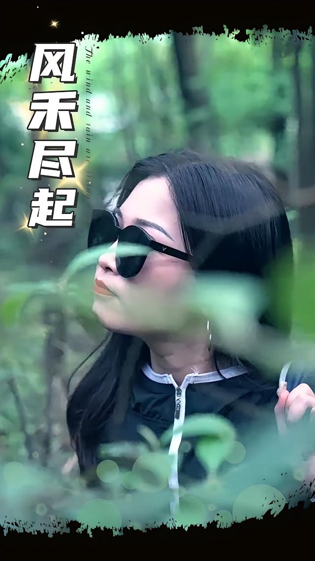 风禾尽起 2025(全集)