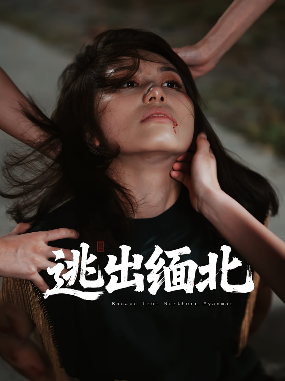 逃出缅北(全集)