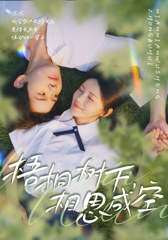 梧桐树下，相思成空(全集)