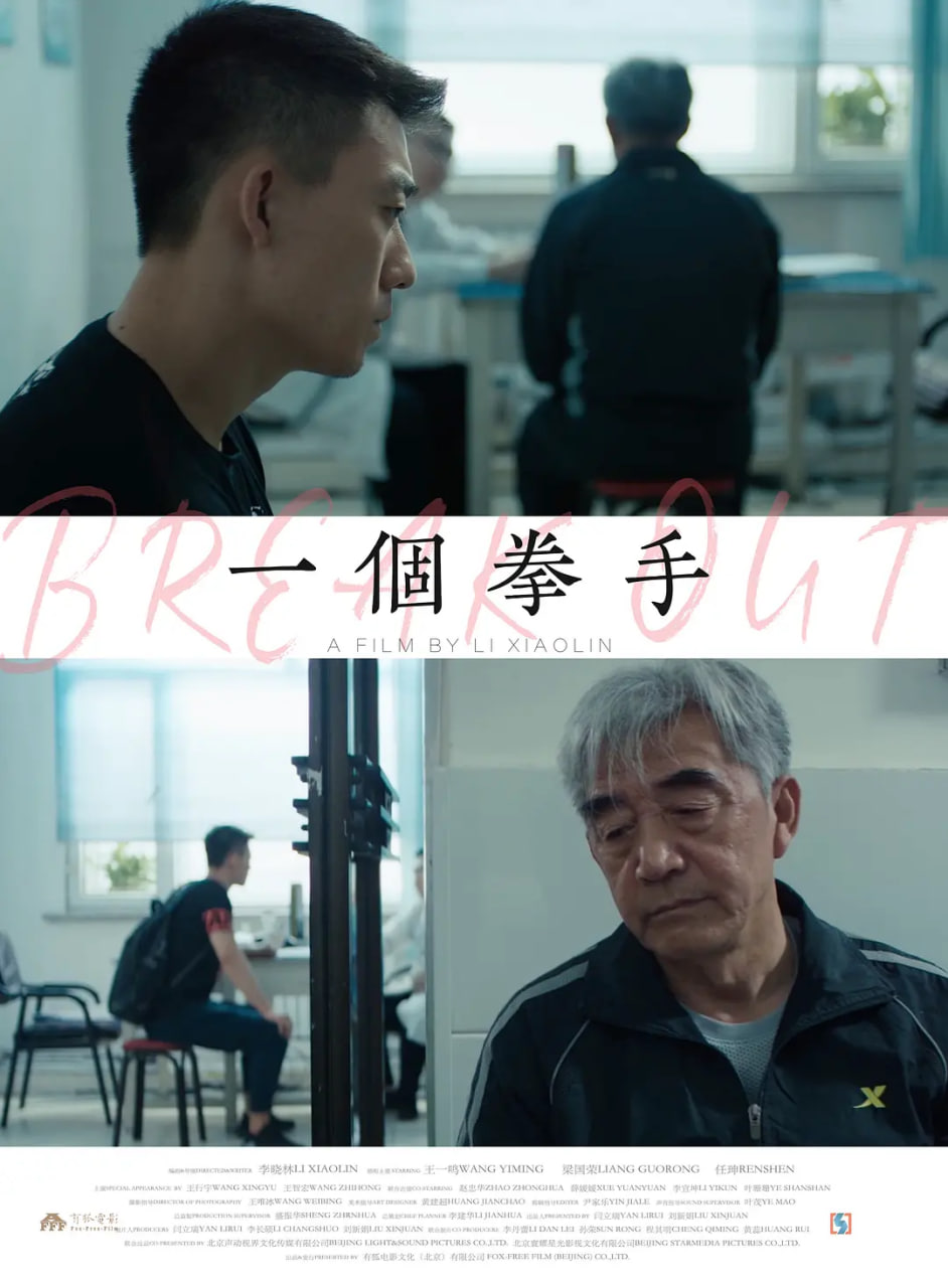 一个拳手(全集)